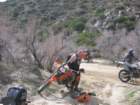 desertdash200912_small.jpg