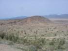 desertdash200918_small.jpg