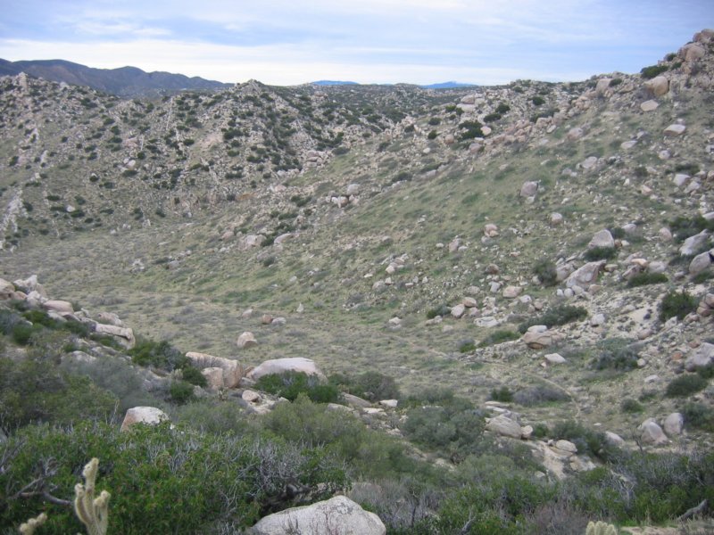 desertdash200920.jpg