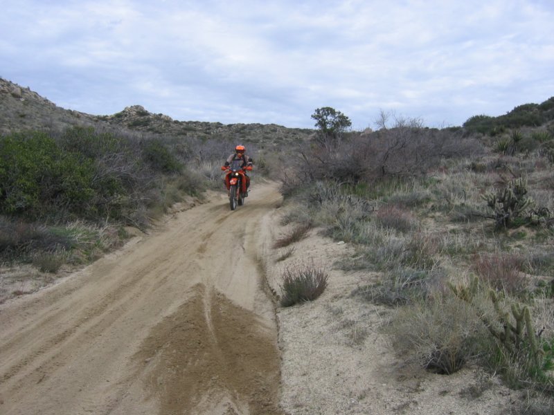 desertdash200932.jpg