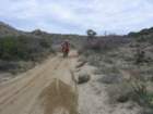 desertdash200932_small.jpg