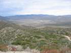 desertdash200933_small.jpg