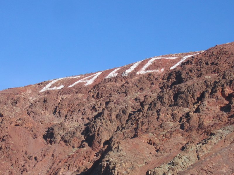 calico5.jpg