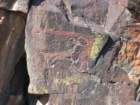 petroglyphs2_small.jpg