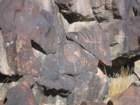 petroglyphs3_small.jpg